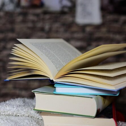 Bücher Finde was du suchst read-6963640_640